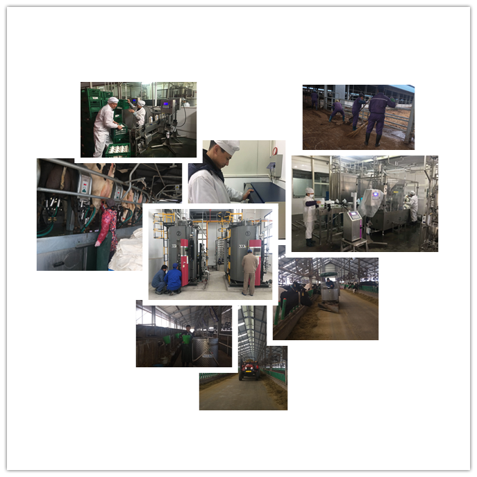 19DA3968018CD92D1973CD379E387A40_副本.png