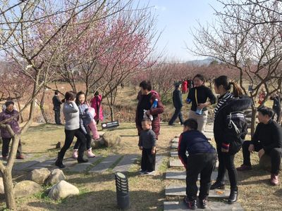 微信图片_20190219101015.jpg