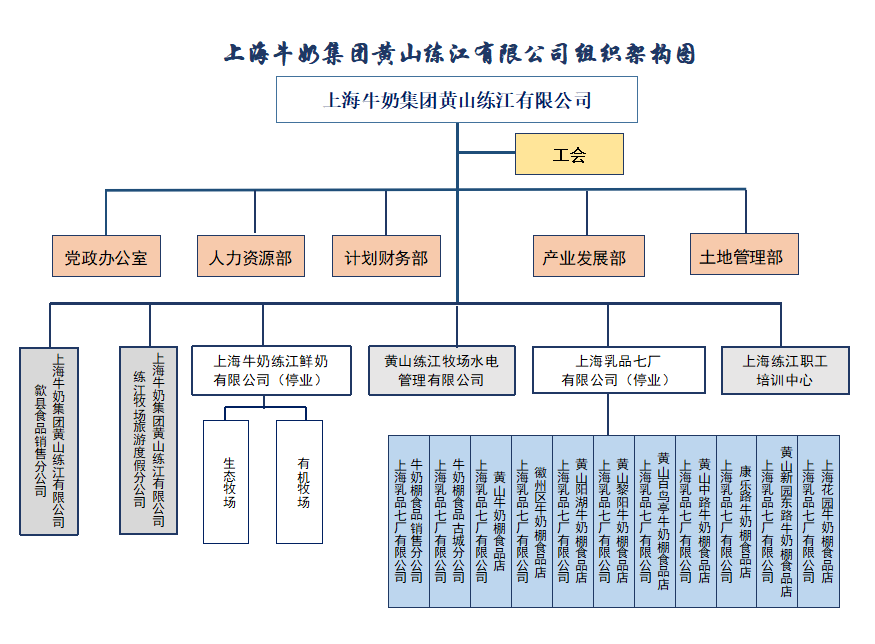 2025练江组织架构图.png